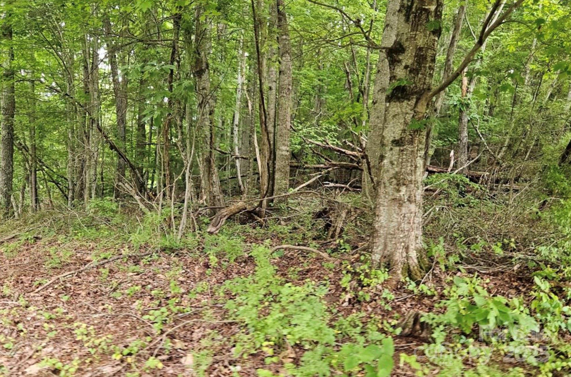 Lot 3 Mountain View Road Burnsville NC 28714