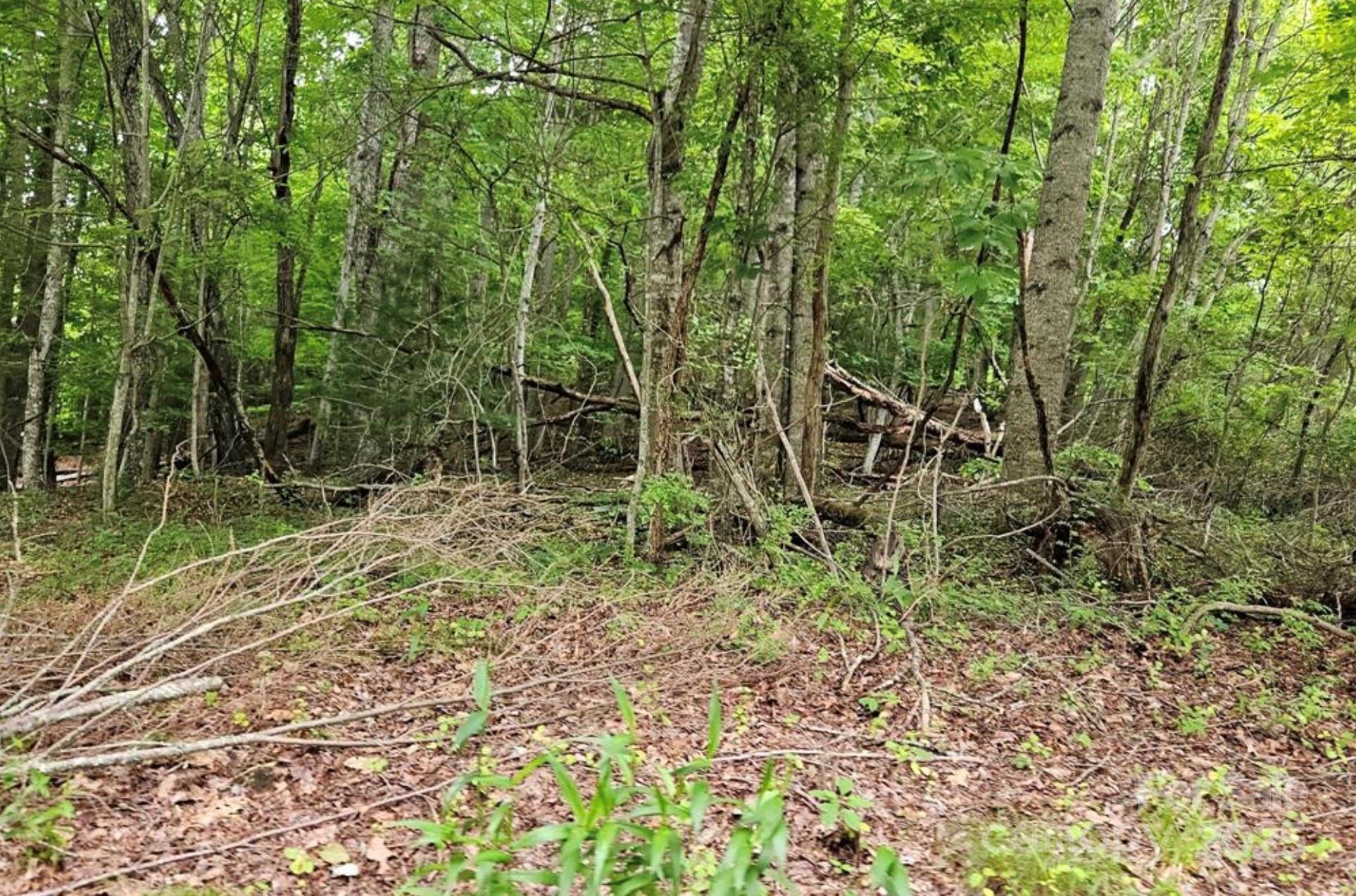 Lot 3 Mountain View Road Burnsville NC 28714