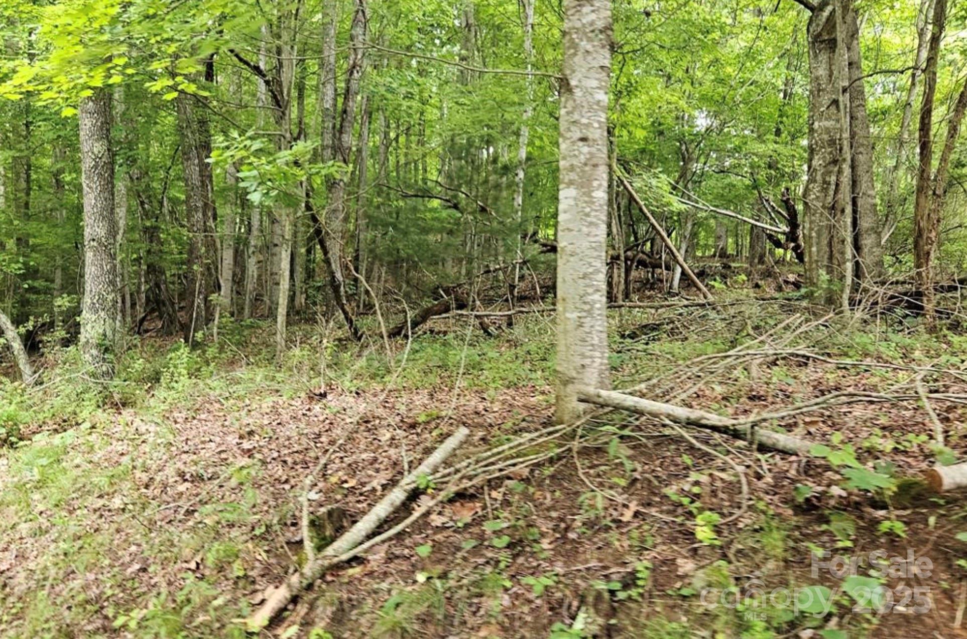 Lot 3 Mountain View Road Burnsville NC 28714
