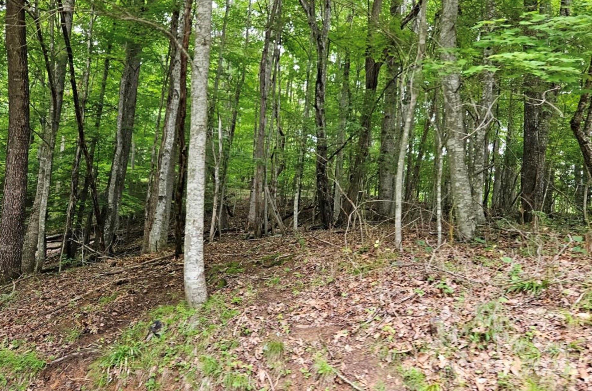 Lot 3 Mountain View Road Burnsville NC 28714