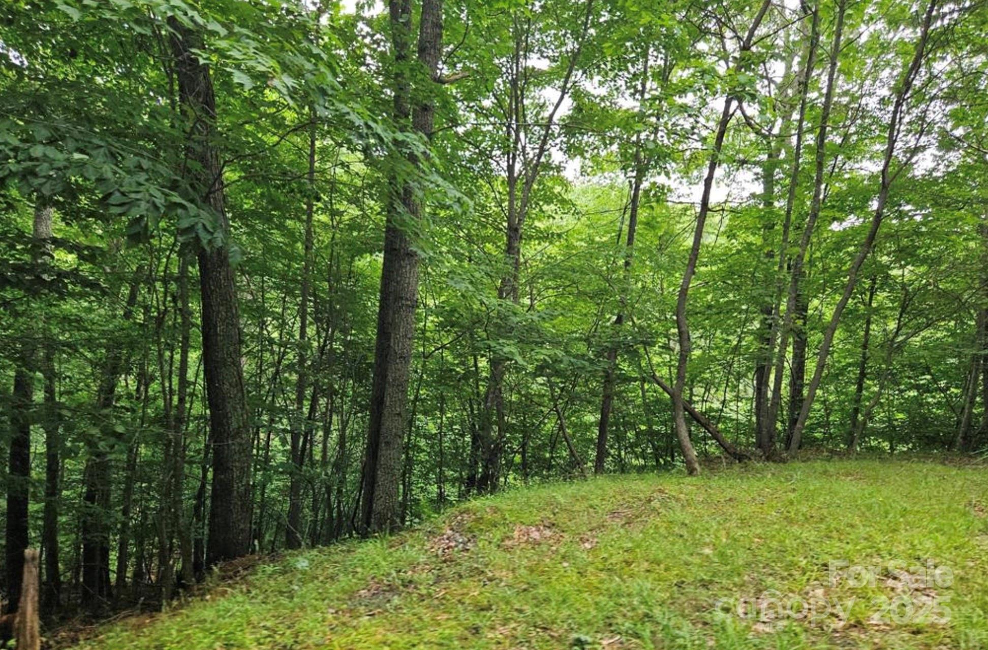 Lot 3 Mountain View Road Burnsville NC 28714