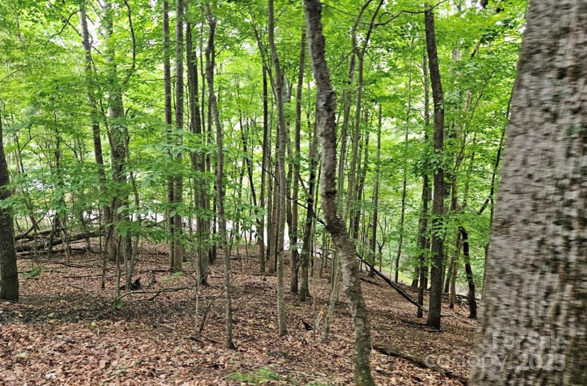 Lot 3 Mountain View Road Burnsville NC 28714