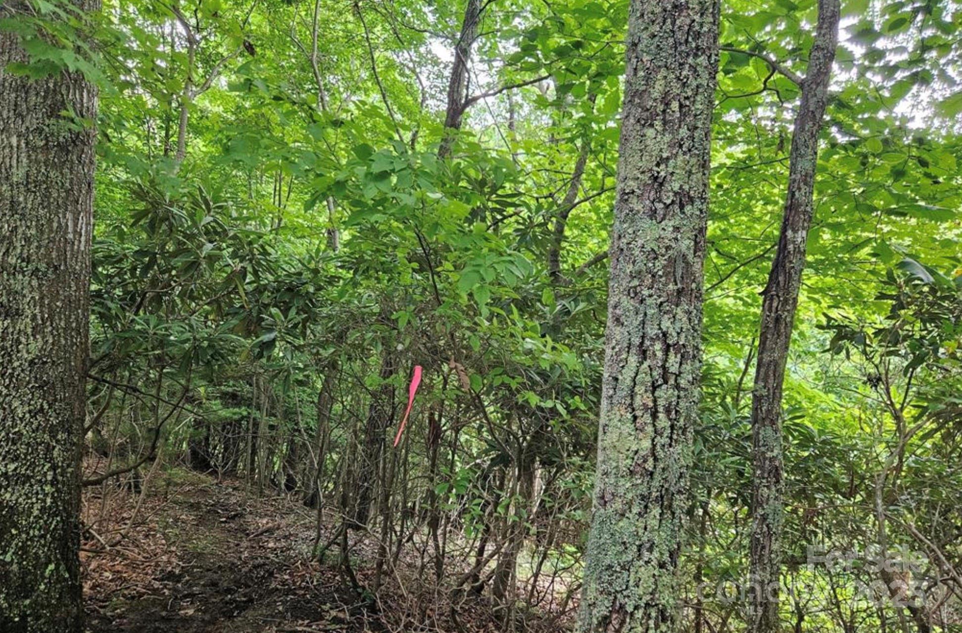 Lot 3 Mountain View Road Burnsville NC 28714