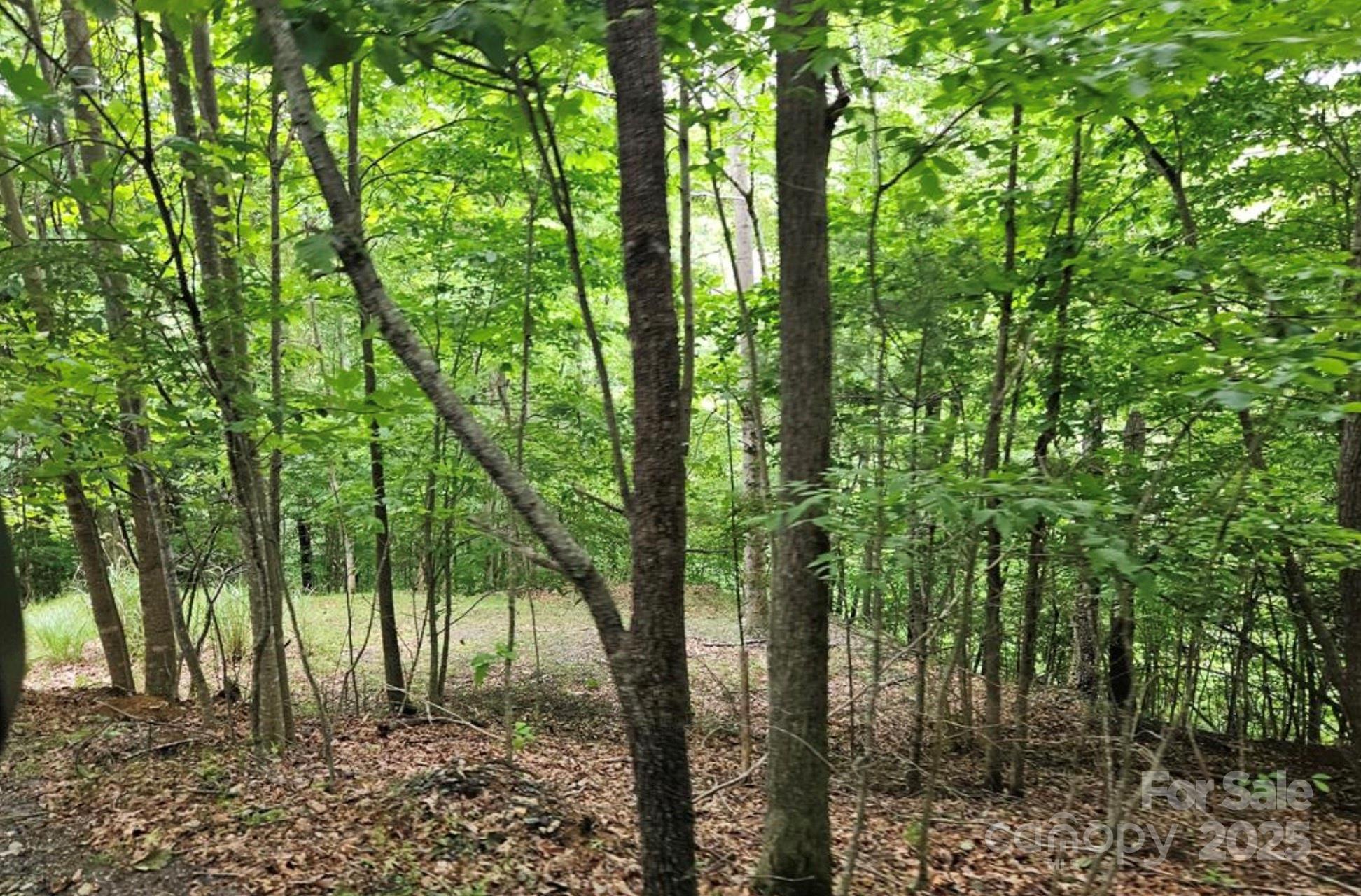 Lot 3 Mountain View Road Burnsville NC 28714