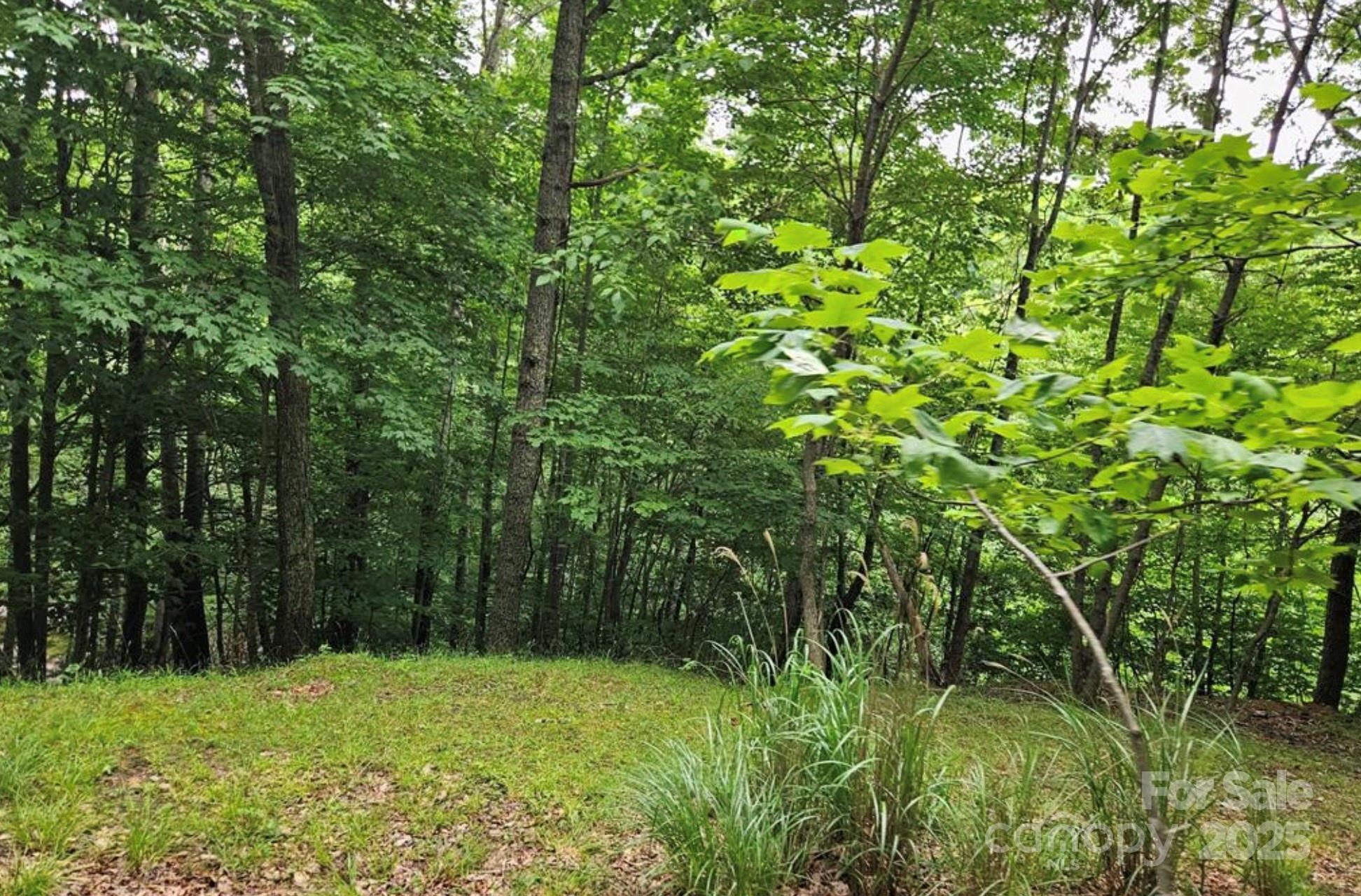 Lot 3 Mountain View Road Burnsville NC 28714