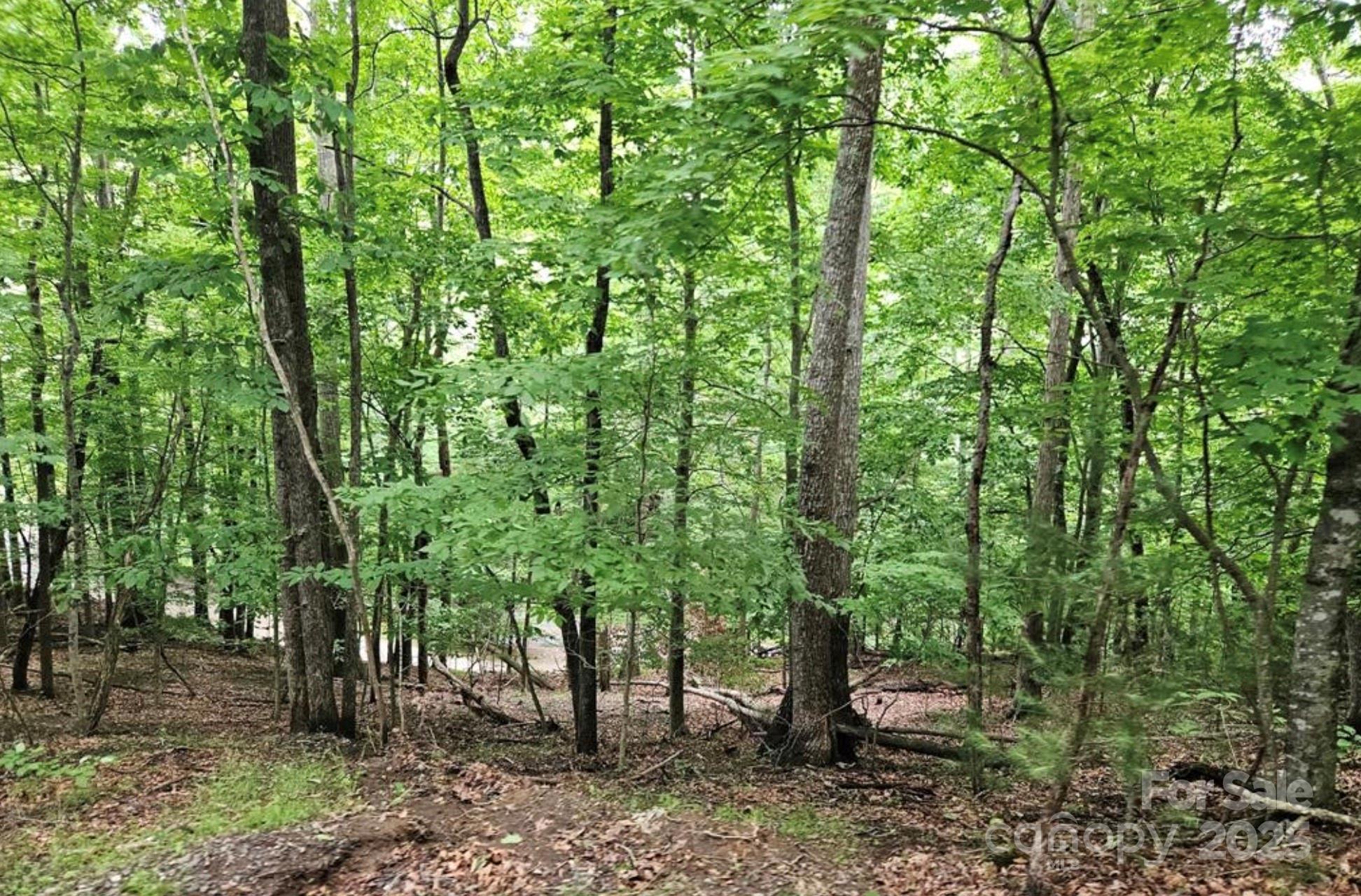 Lot 3 Mountain View Road Burnsville NC 28714