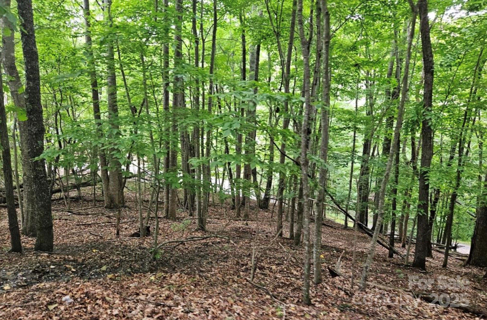Lot 3 Mountain View Road Burnsville NC 28714