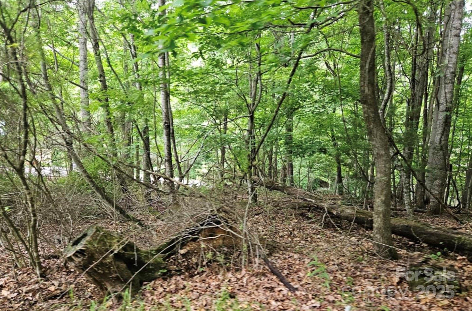 Lot 3 Mountain View Road Burnsville NC 28714