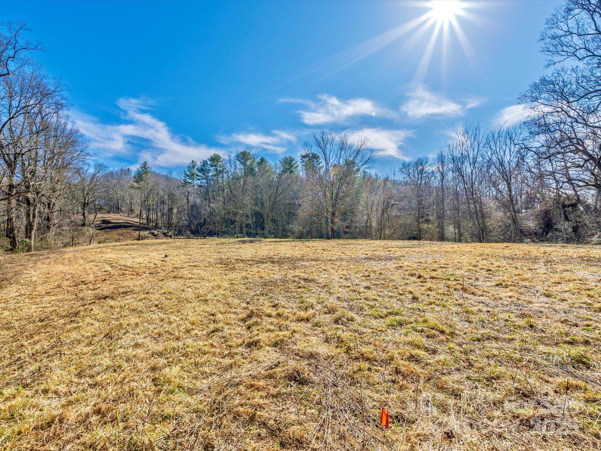99999 Burney Mountain Road Fletcher NC 28732