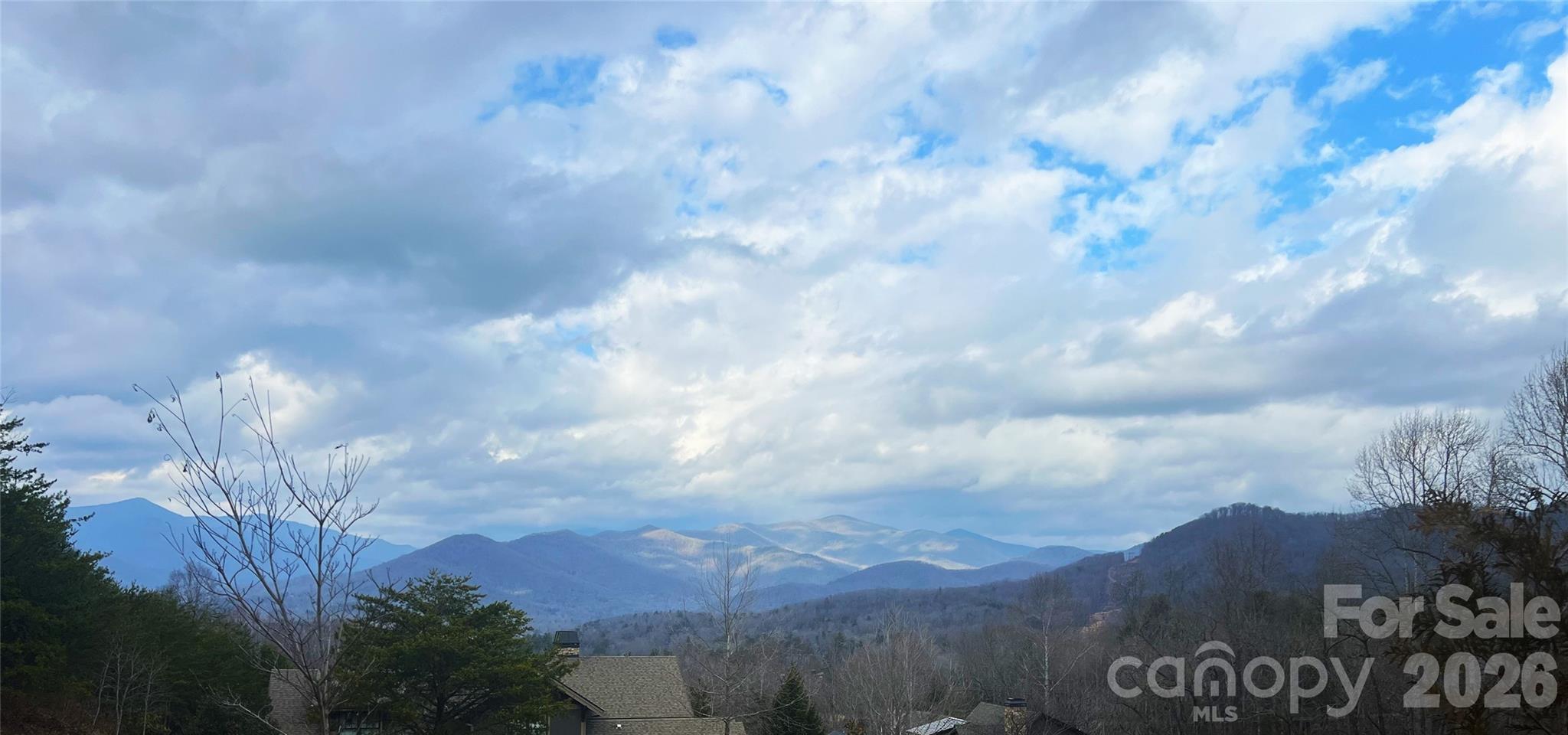 75 Cottage Settings Lane Black Mountain NC 28711