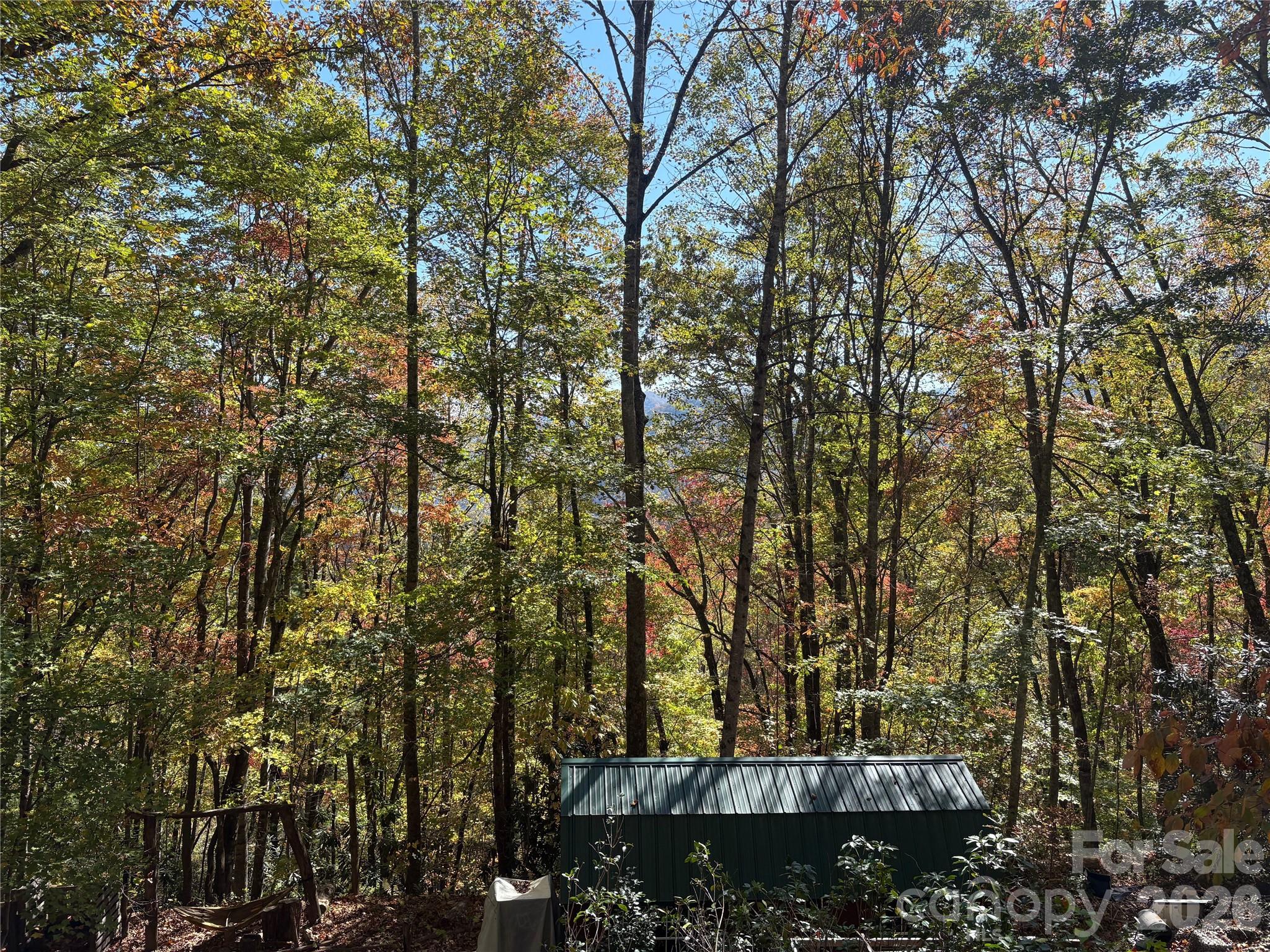 00 Mack Luke Road Whittier NC 28789