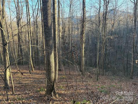 28 Cadillac Pointe Waynesville NC 28785
