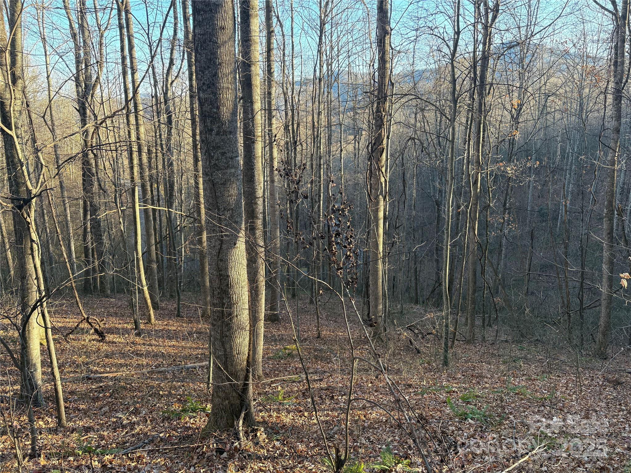 28 Cadillac Pointe Waynesville NC 28785