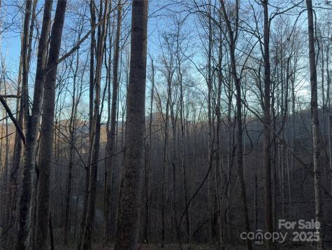 28 Cadillac Pointe Waynesville NC 28785