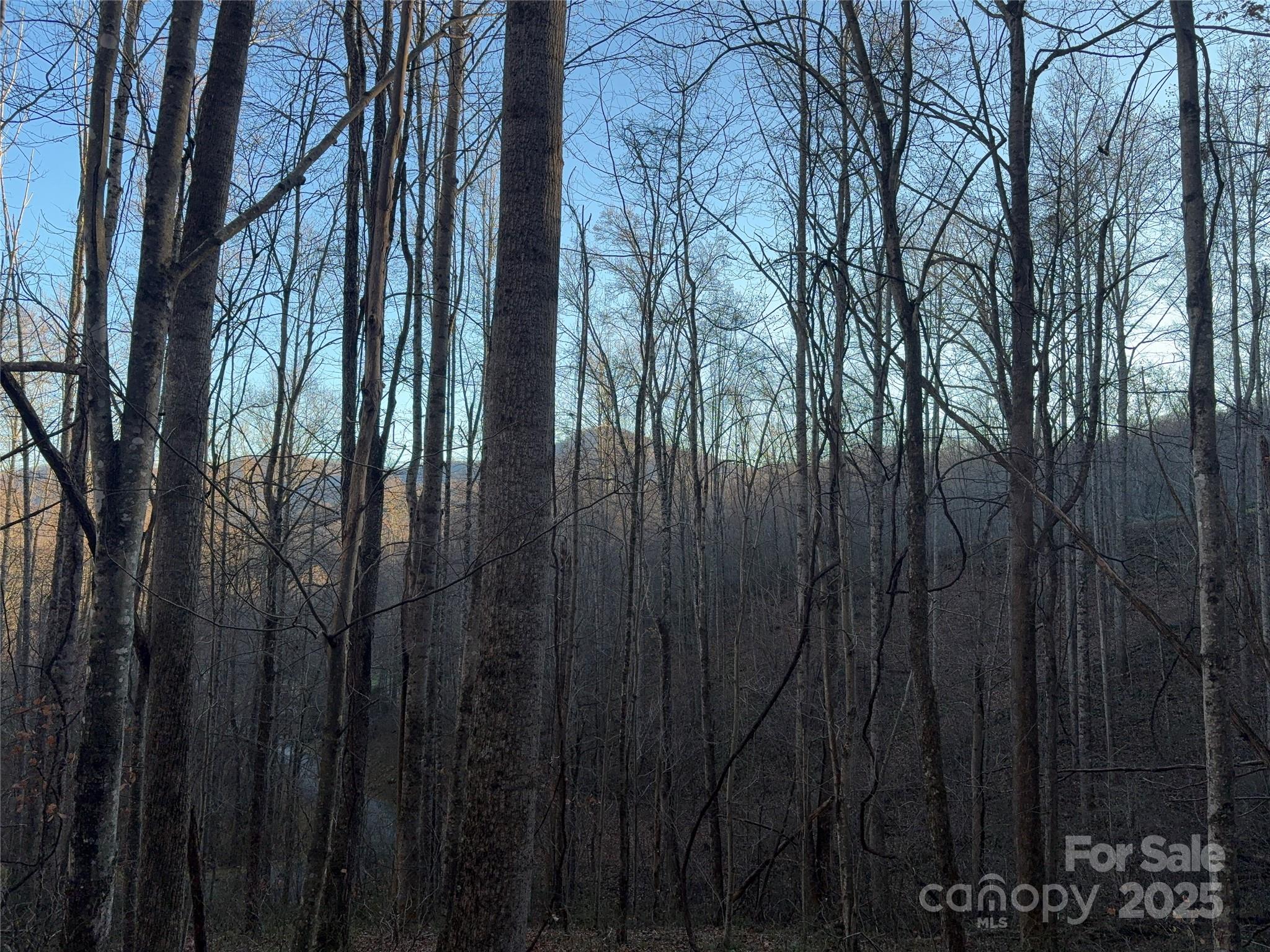 28 Cadillac Pointe Waynesville NC 28785