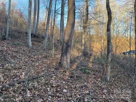 28 Cadillac Pointe Waynesville NC 28785
