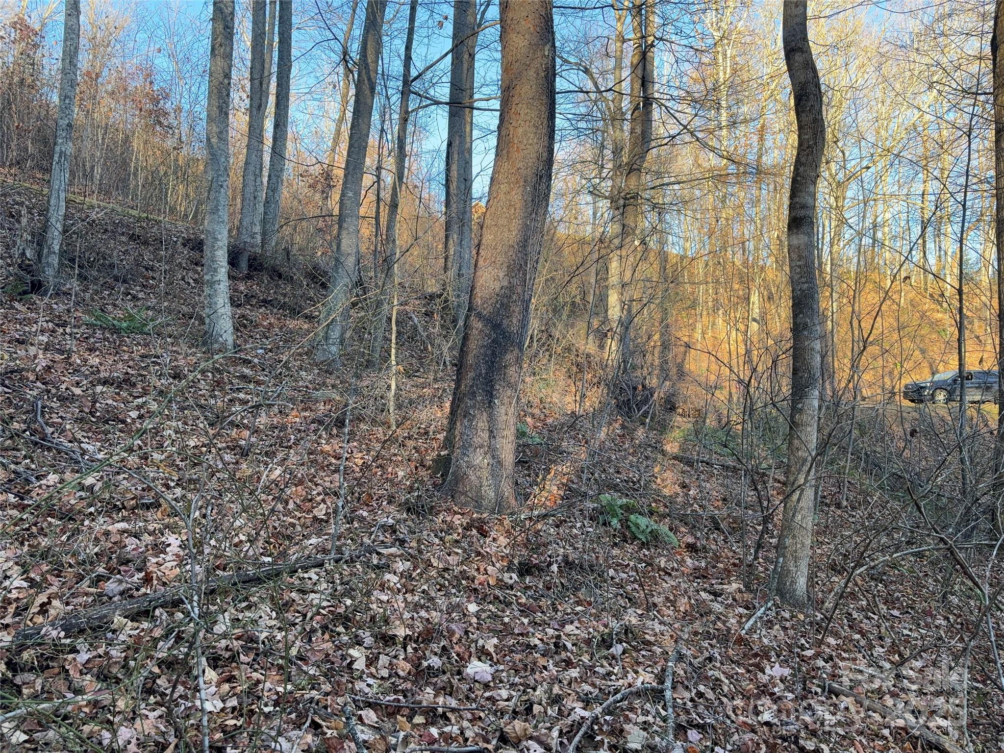 28 Cadillac Pointe Waynesville NC 28785