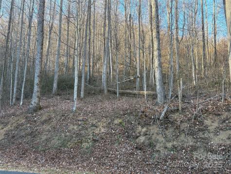 28 Cadillac Pointe Waynesville NC 28785