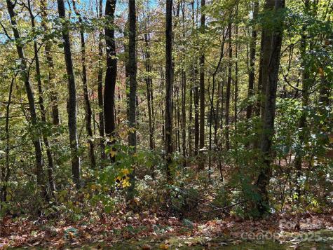 28 Cadillac Pointe Waynesville NC 28785