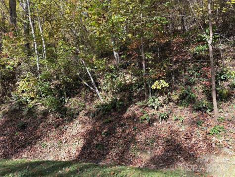 28 Cadillac Pointe Waynesville NC 28785