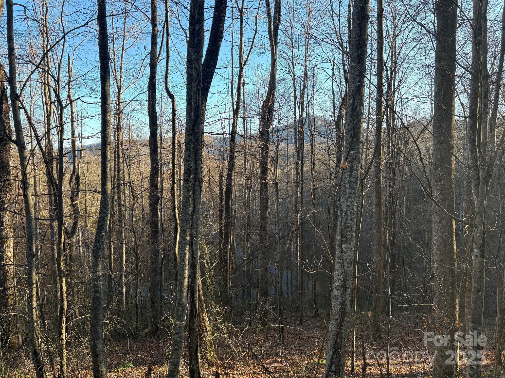 28 Cadillac Pointe Waynesville NC 28785