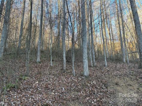 28 Cadillac Pointe Waynesville NC 28785