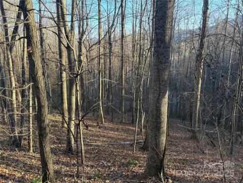 28 Cadillac Pointe Waynesville NC 28785