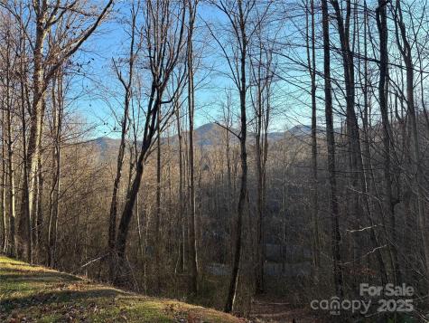 28 Cadillac Pointe Waynesville NC 28785