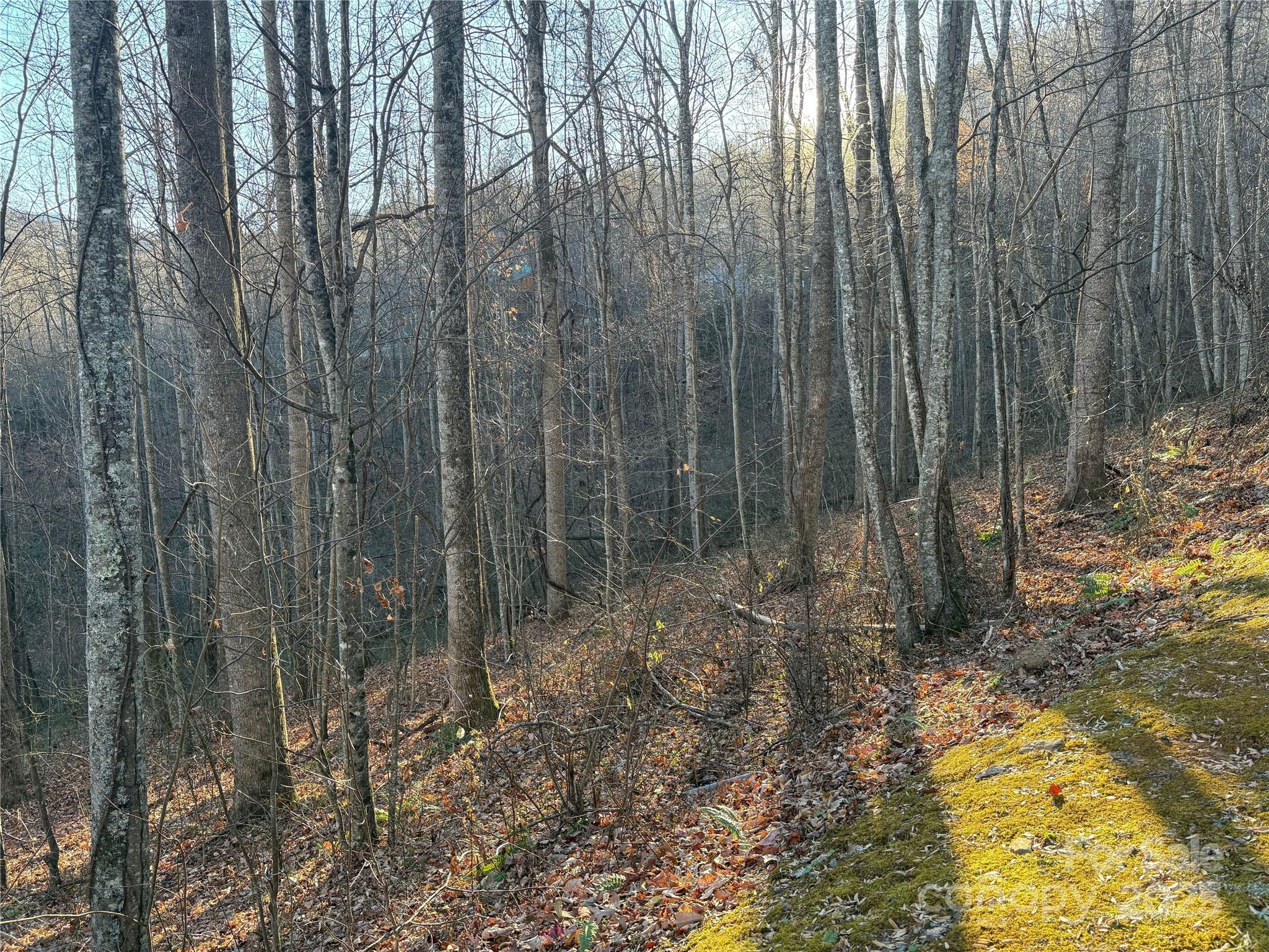 28 Cadillac Pointe Waynesville NC 28785