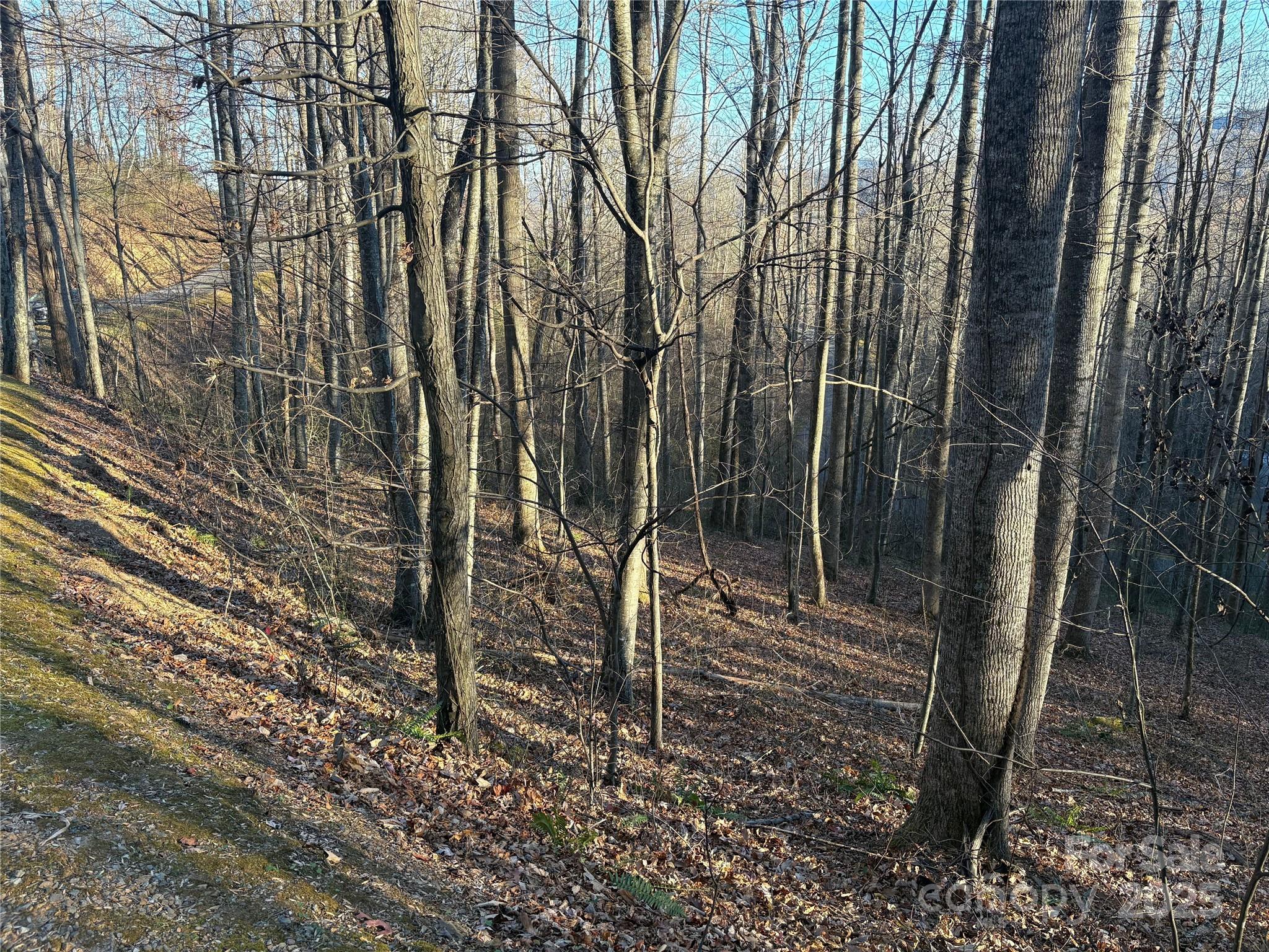 28 Cadillac Pointe Waynesville NC 28785
