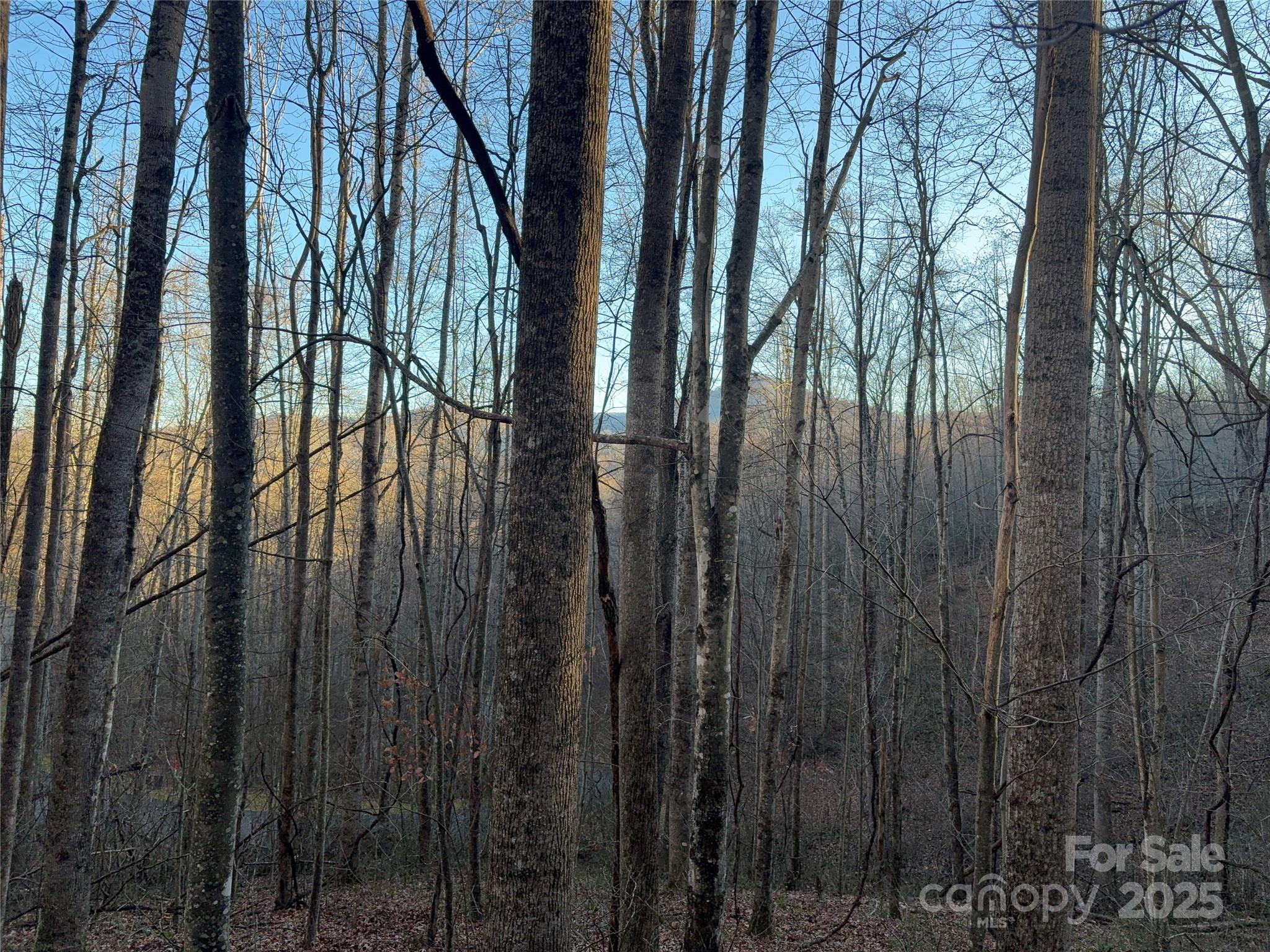 28 Cadillac Pointe Waynesville NC 28785