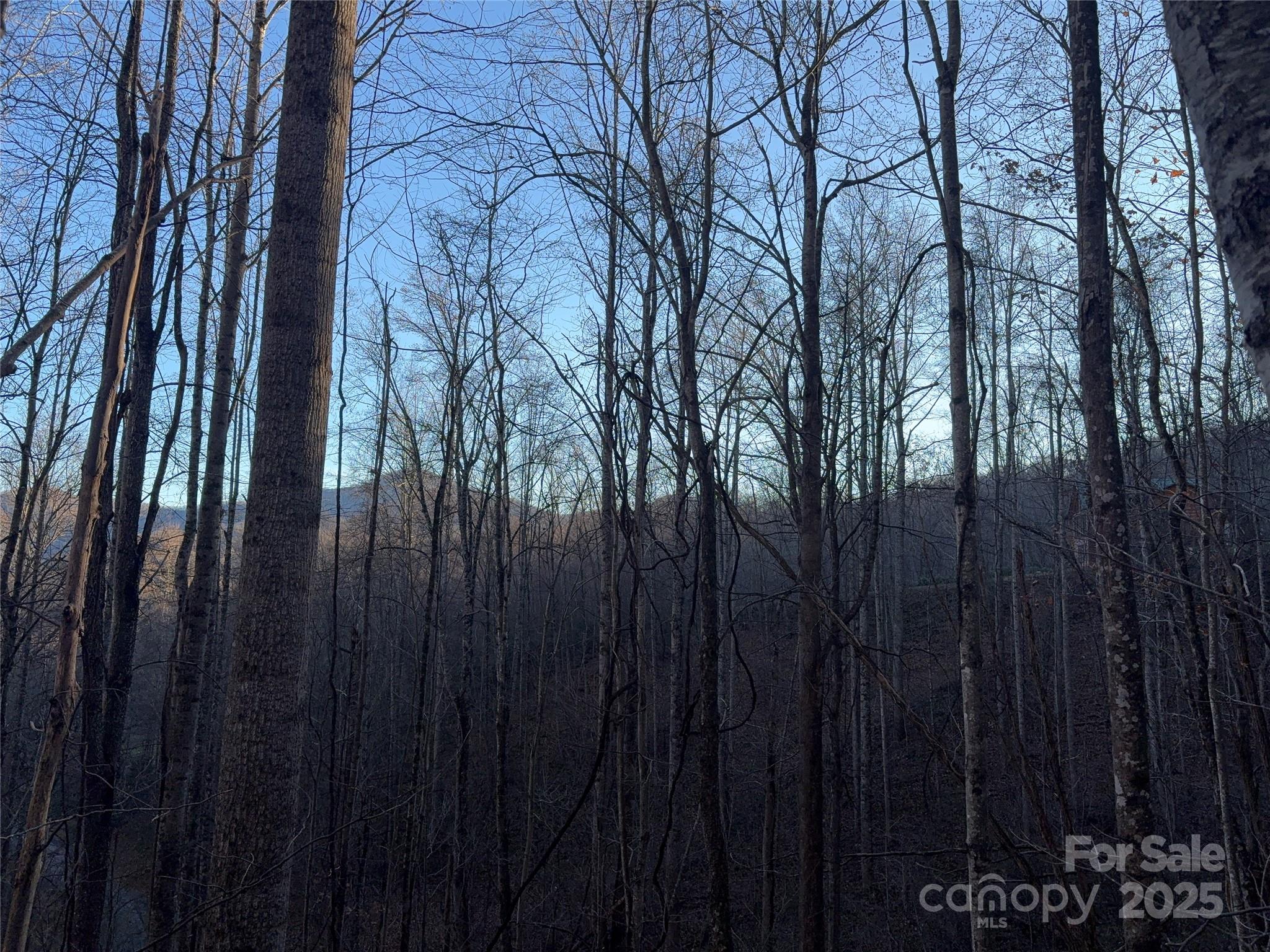 28 Cadillac Pointe Waynesville NC 28785