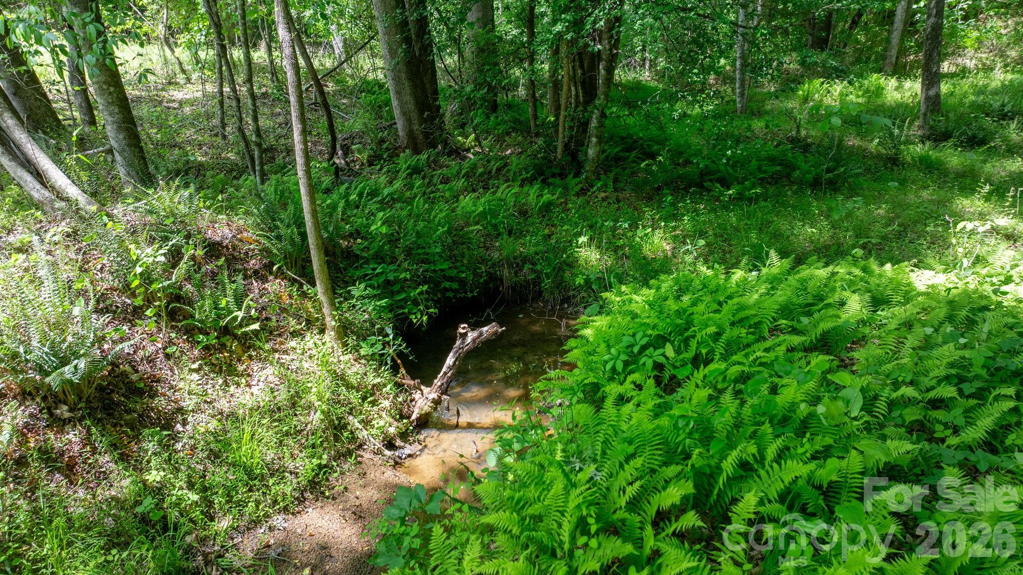 1460 Husbands Creek Road Lenoir NC 28645