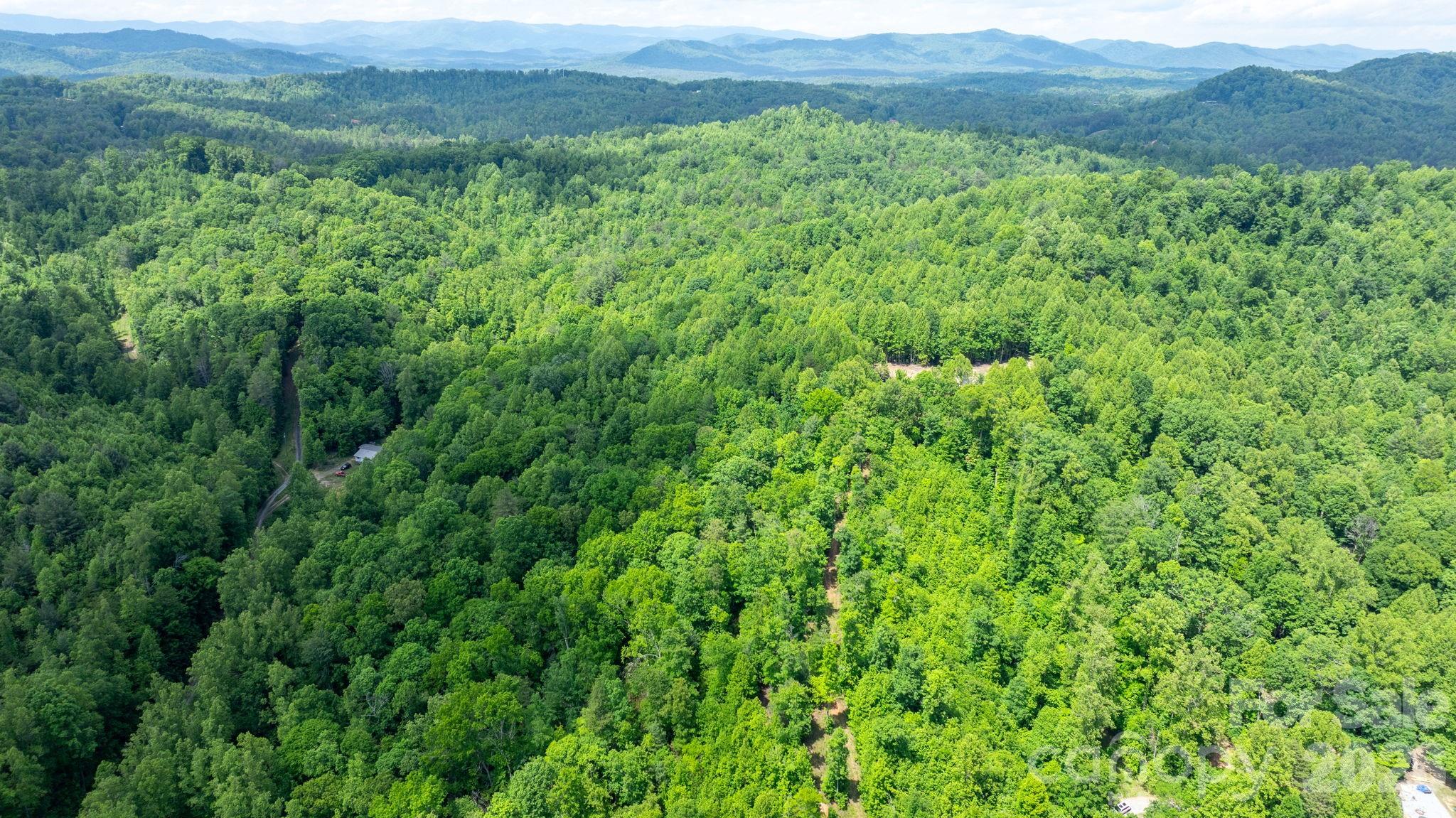 1460 Husbands Creek Road Lenoir NC 28645