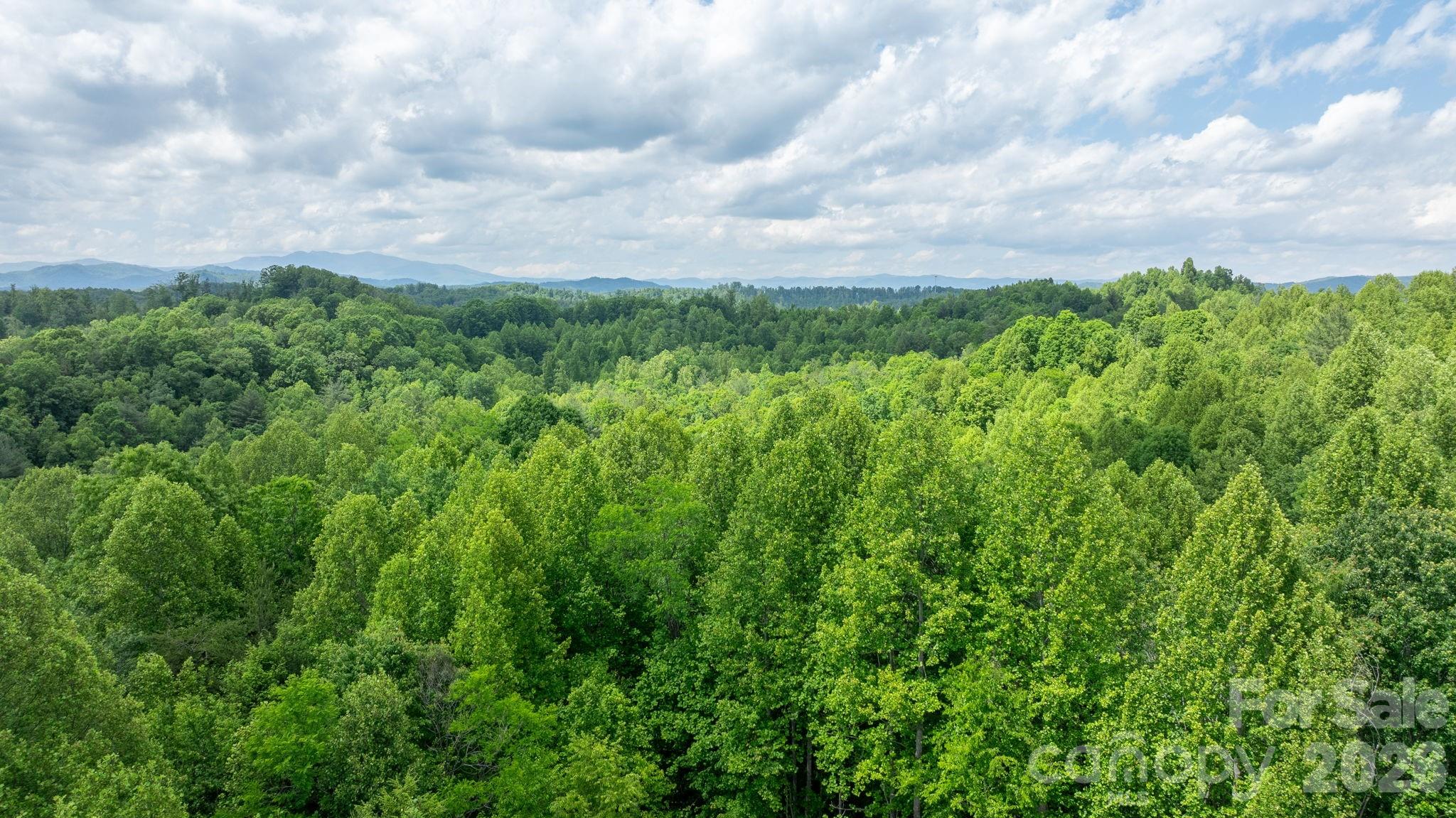 1460 Husbands Creek Road Lenoir NC 28645