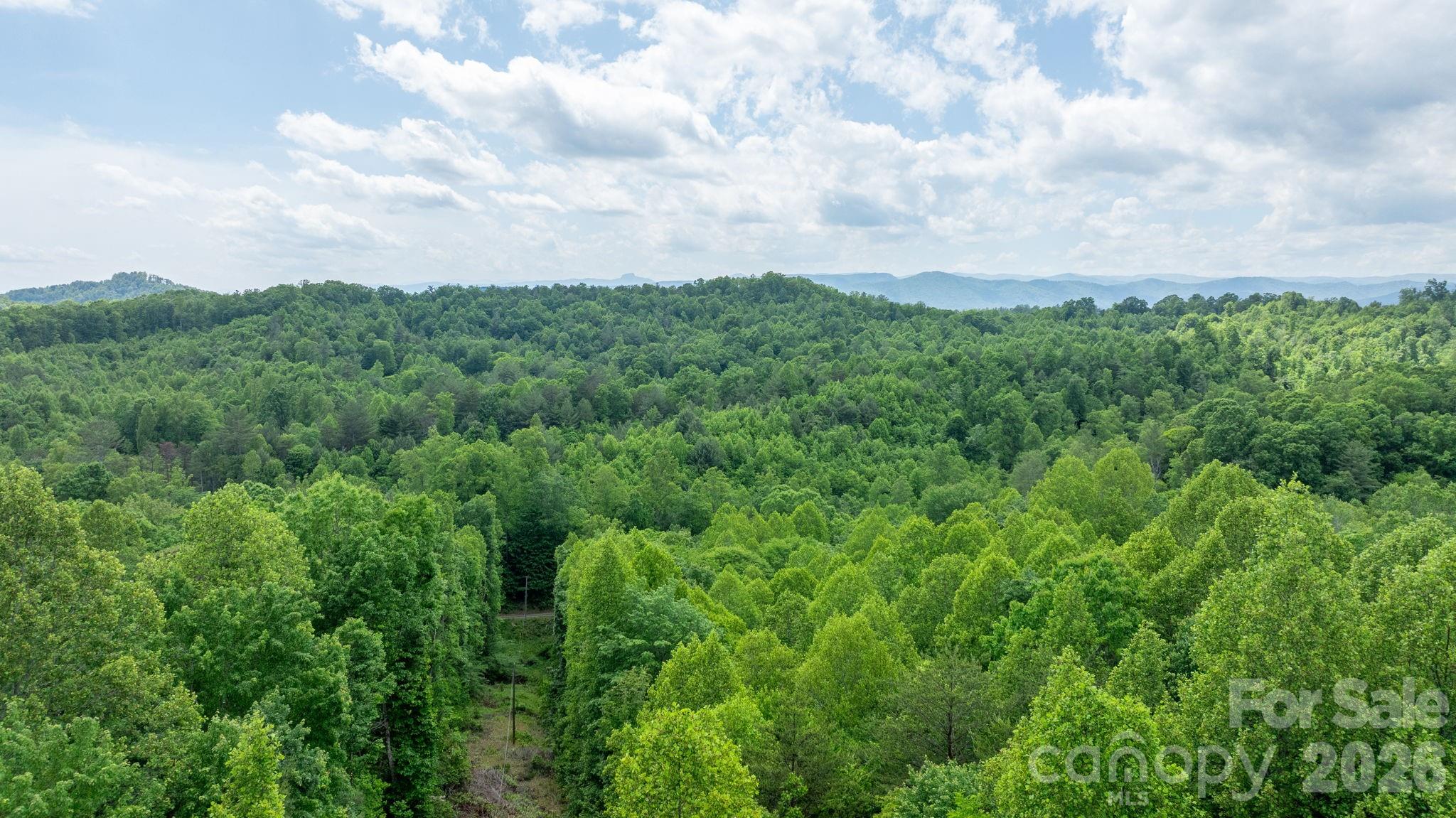 1460 Husbands Creek Road Lenoir NC 28645