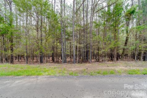 00 Sandlapper Drive York SC 29745