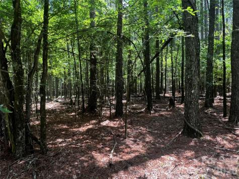 00 Sandlapper Drive York SC 29745