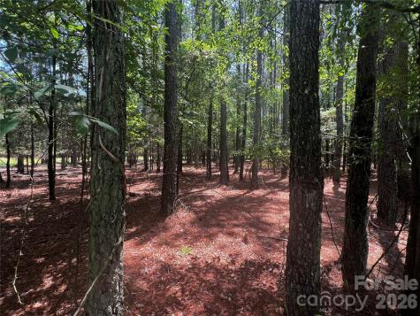 00 Sandlapper Drive York SC 29745