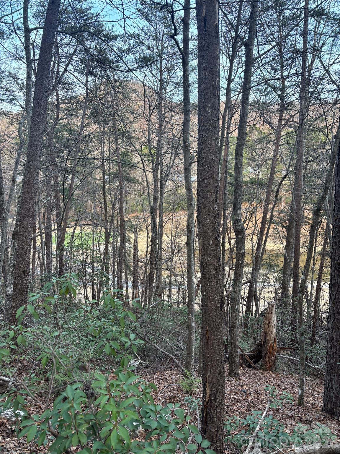 Lot 20 Nicklaus Lane Lake Lure NC 28746