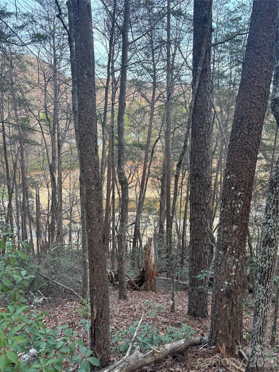 Lot 20 Nicklaus Lane Lake Lure NC 28746