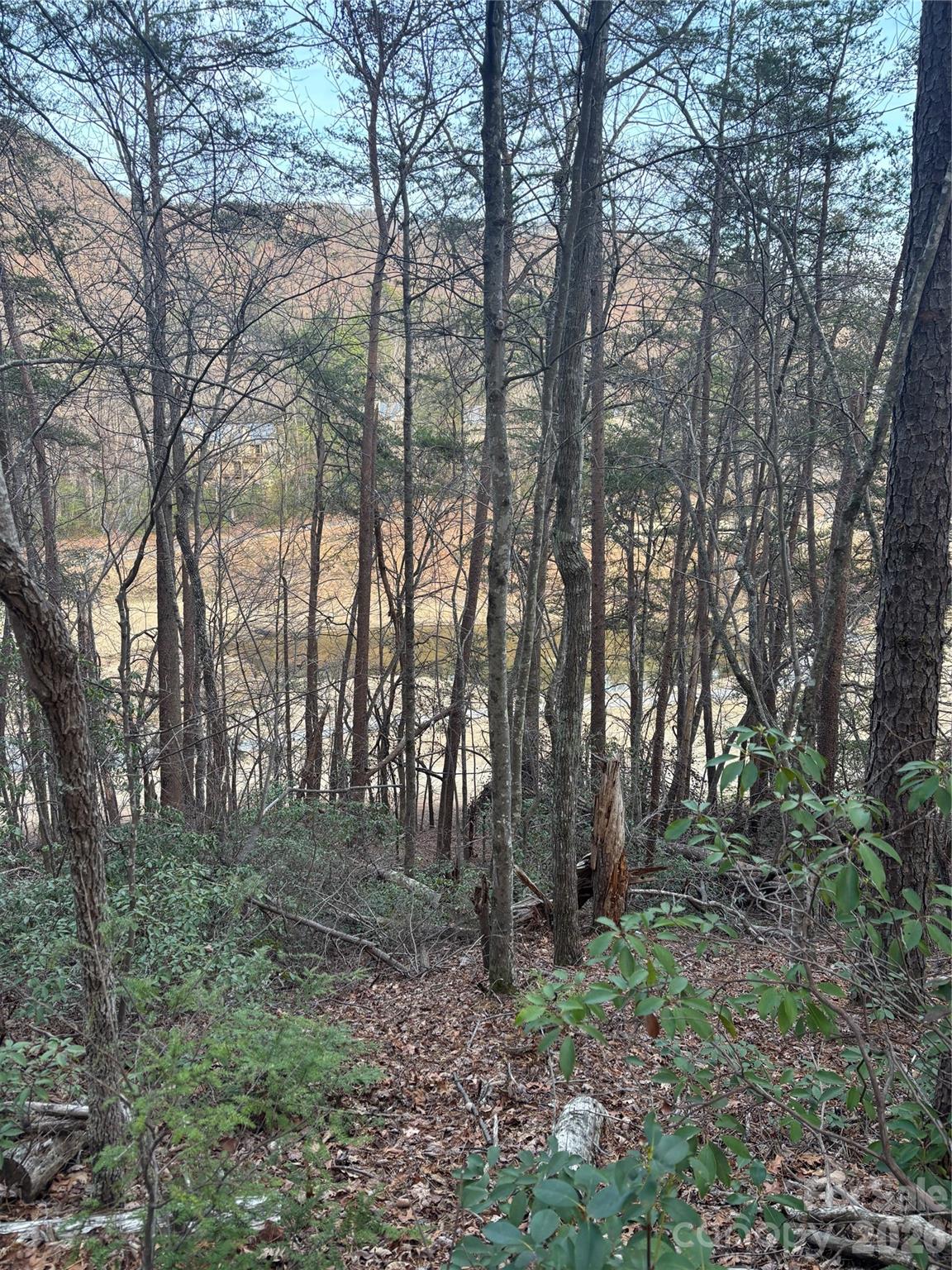 Lot 20 Nicklaus Lane Lake Lure NC 28746