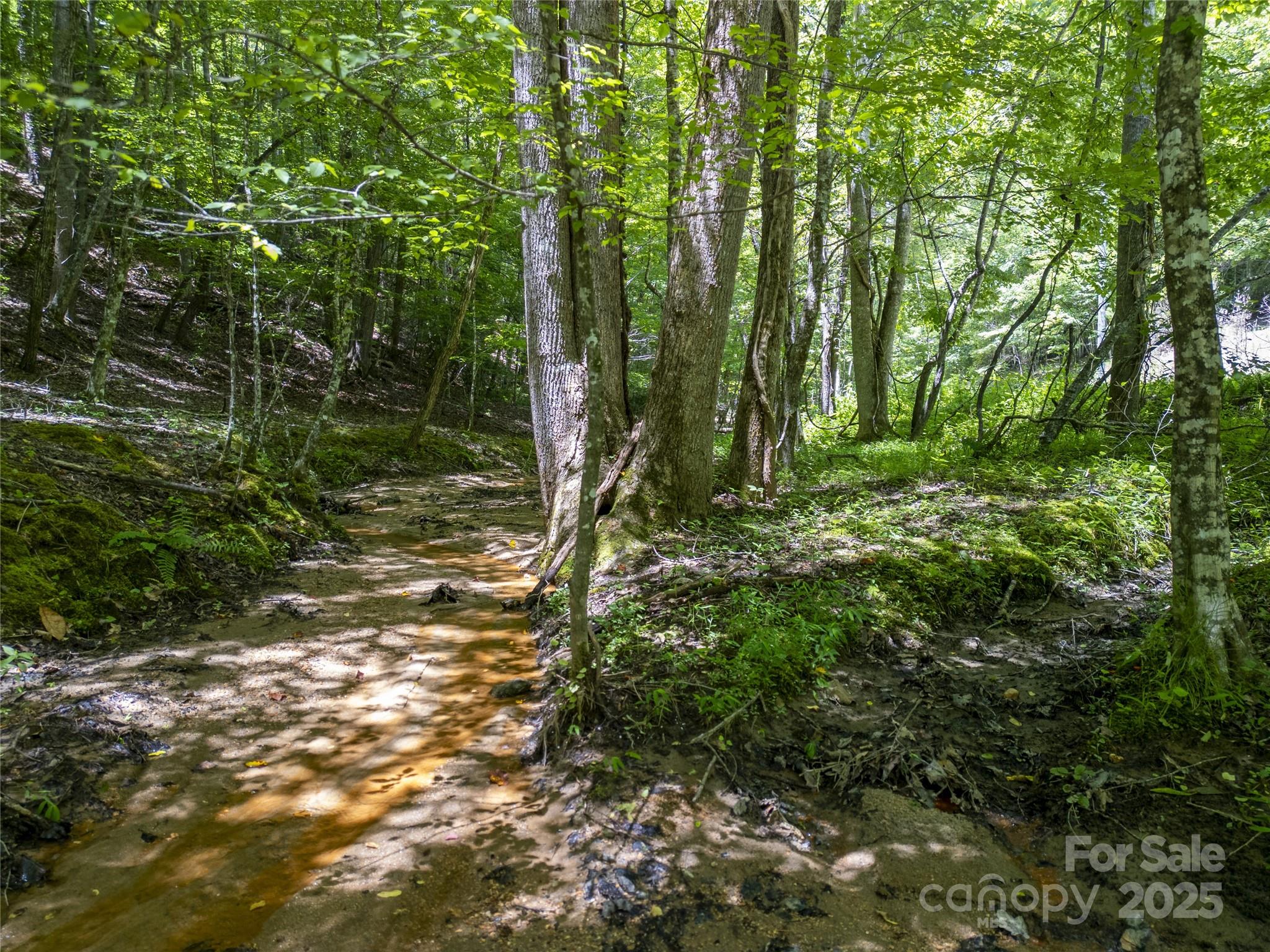 LOT322 Hawks Terrace Lake Lure NC 28746