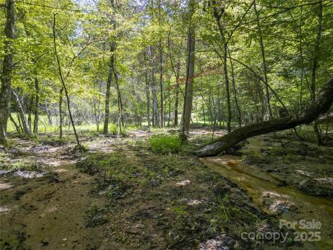 LOT322 Hawks Terrace Lake Lure NC 28746
