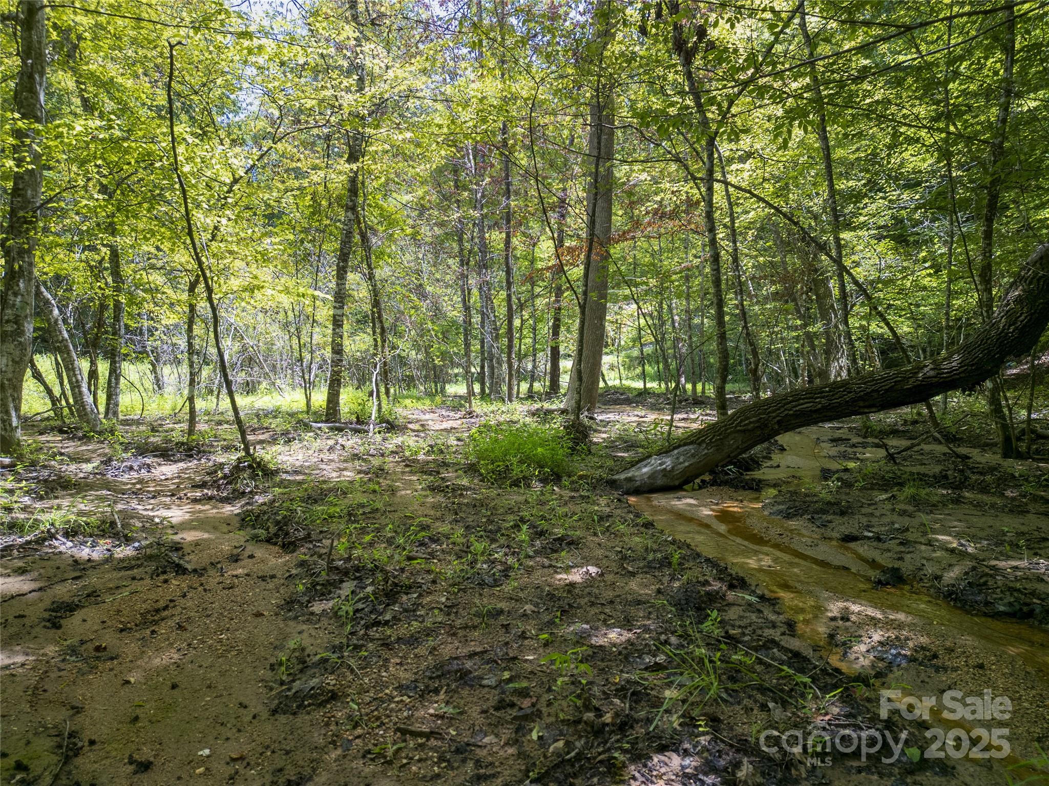 LOT322 Hawks Terrace Lake Lure NC 28746