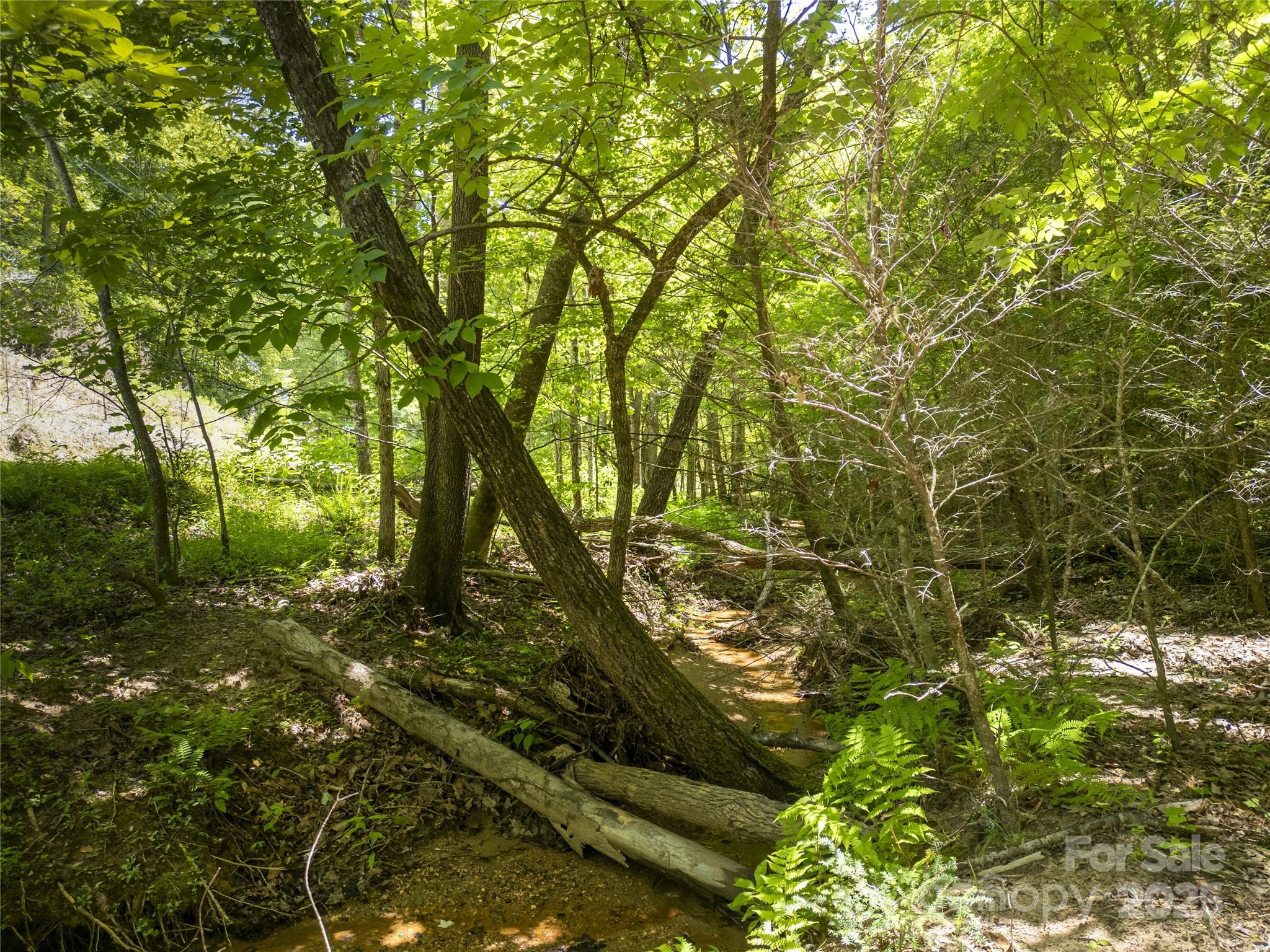 LOT322 Hawks Terrace Lake Lure NC 28746