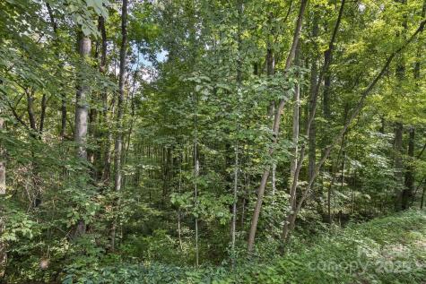 9999 Flowing Brook Lane Waynesville NC 28786