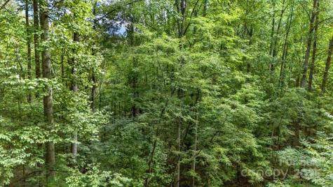 9999 Flowing Brook Lane Waynesville NC 28786