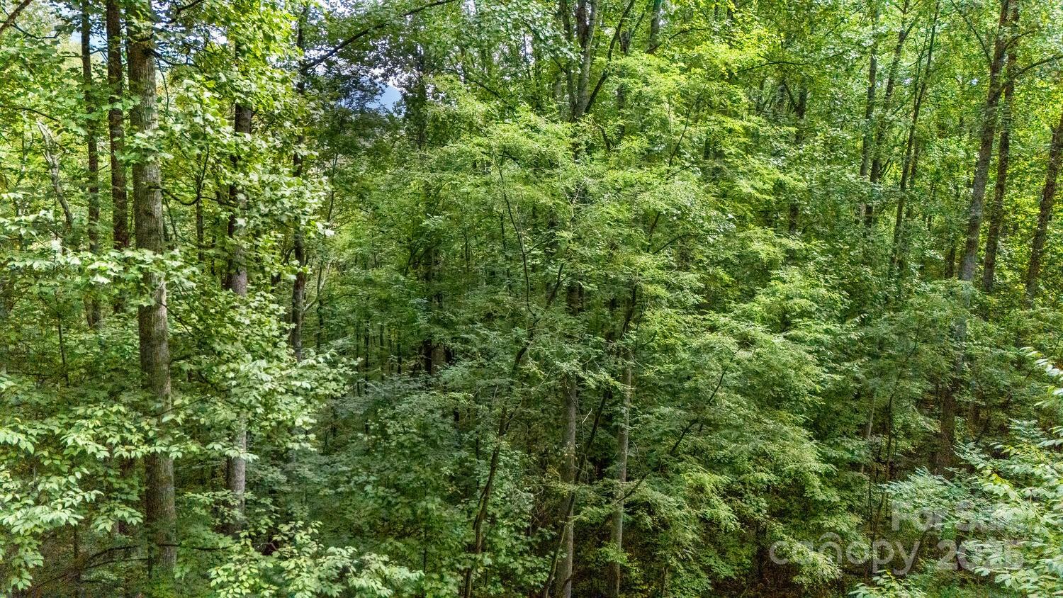 9999 Flowing Brook Lane Waynesville NC 28786
