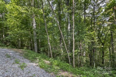 9999 Flowing Brook Lane Waynesville NC 28786